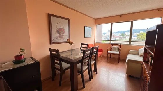 Departamento En Venta De 1 Dorm. En Concepción