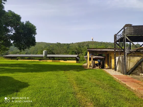 Granja Avícola Excelente Oportunidad En Venta. An 