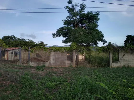 Terreno En Troncal 10 Vía San Jose-carupano Ve10-040td-yrey
