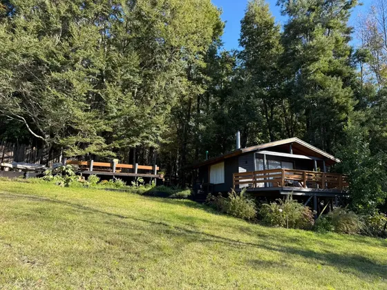 Cabaña Alto Pinar