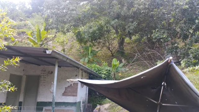 Parcela De 1 Hectarea Con Casa Habitable Araira Caserio Tio Pedrote  Mdominguez