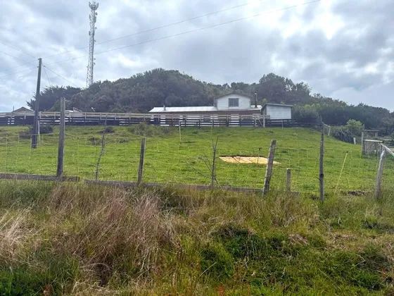 Se Venden Tres Propiedades En Chiloé