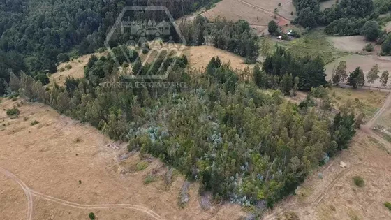 Parcelas En Venta En Monte Verde (96601)