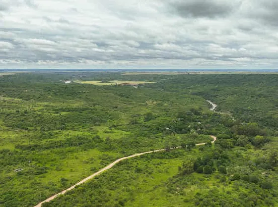 Vendo Campo 203 Ha. Alpa Corral