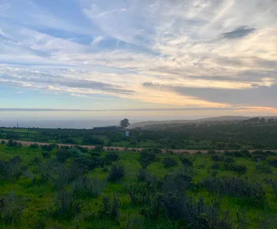 Terreno En Condominio Con Rol Y Vista Al Mar (69029)