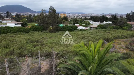 Venta Parcela En La Serena Vegas Sur
