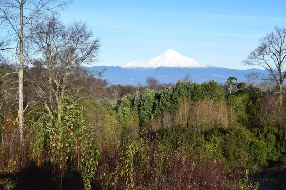 Parcela En Loteo A 20 Min De Villarrica (68612)