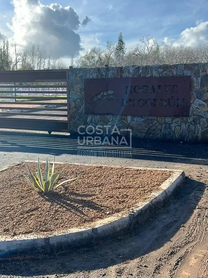 Espectacular Terreno En Lago Colbún
