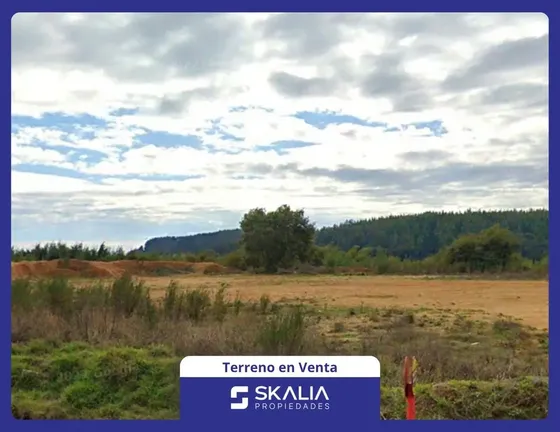 Terreno Construccion En Venta En Concepción