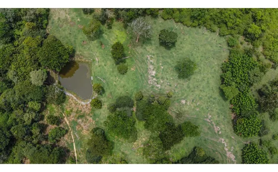Venta De Lote Rural En Sopetrán, Occidente Antioqueño