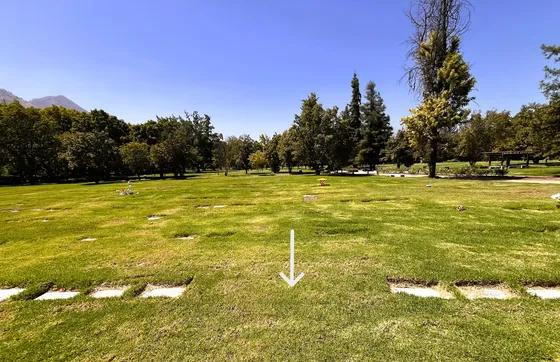 Nicho Con Capacidad Para 4 Personas Del Parque Del Recuerdo