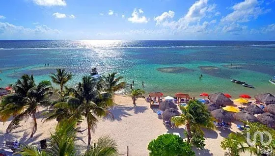 Venta Terreno 0 Ambiente Mahahual
