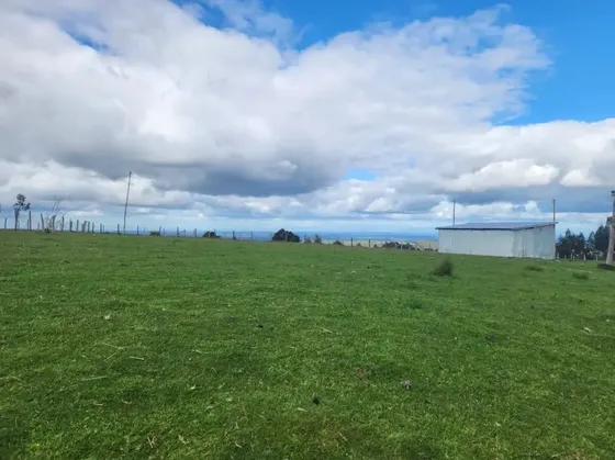 Campo En Venta La Localidad De Fresia