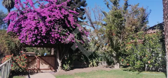Casa En Venta De 5 Dorm. En Peñaflor