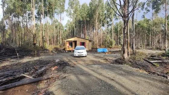 Parcela Con Cabaña