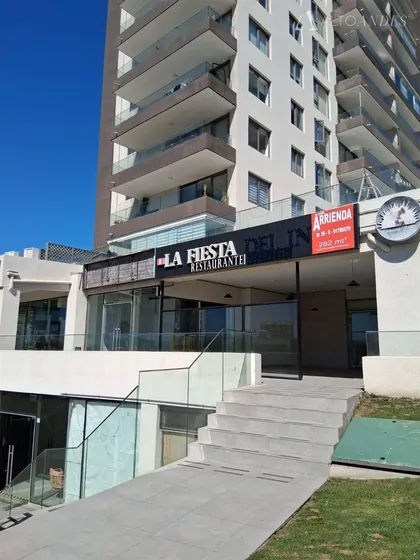 Local Comercial En Calle Los Mirlos Frente A Av Eluchans