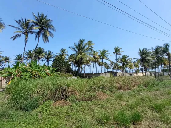 Oferta De Terreno A Orilla De Carretera Con Salida A Playa 