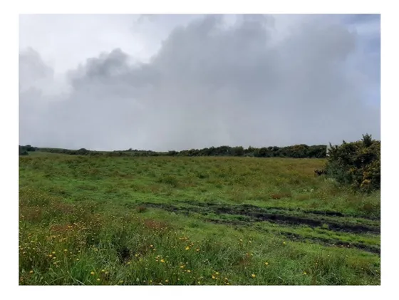 Finca De 610 Hectareas En Venta, Puerto Lopez Meta