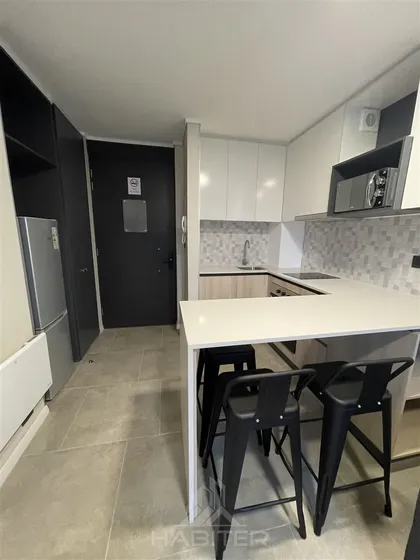 Cod39040 Departamento Amoblado En Arriendo 2d En Temuco