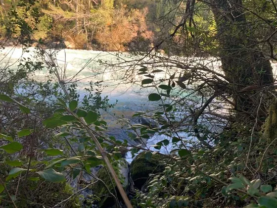 Se Vende Parcela Rio Fuy Panguipulli