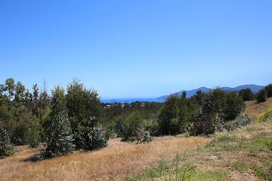Campo Viejo