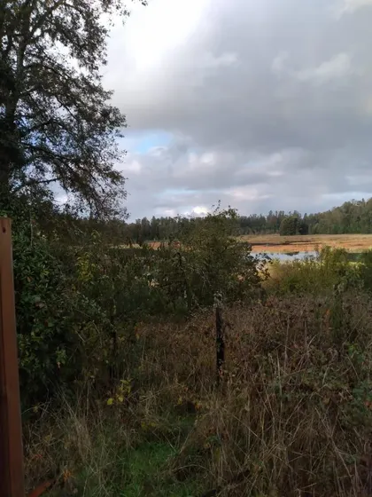 Agrícola En Venta En Valdivia