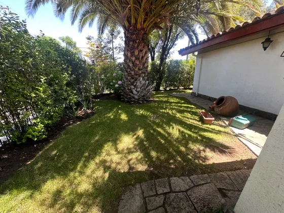 Venta Casa Un Piso 3d 3b 3e  Remodela A Tu Necesidad 