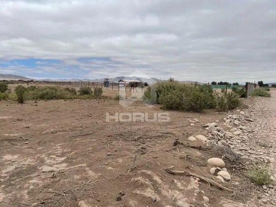 Sitio En Arriendo En Copiapó
