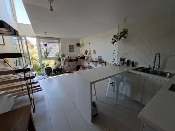 Precioso Loft Con Jardin Con Pileta Y Peces. Soleado, Vista