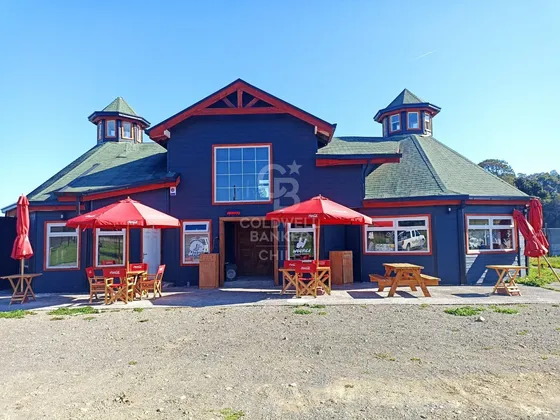 Excelente Oportunidad De Inversión En Lago Ranco.