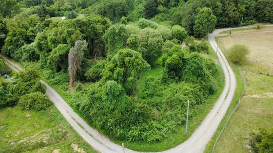Parcela De 7.680 M2 Con Acceso A Rio, Camino A Las Quemas