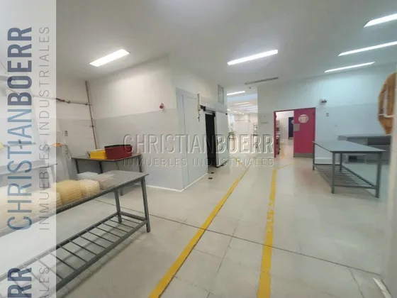 Munro - Pelliza - Planta Industrial Ideal Elabroacion Comida