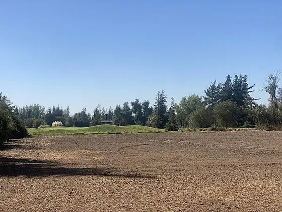 Club De Golf Las Araucarias