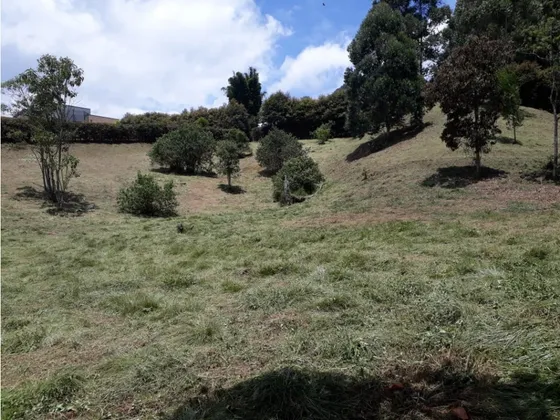 Lote En Venta En La Ceja 