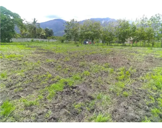 Terreno En San Diego Carabobo El Polvero