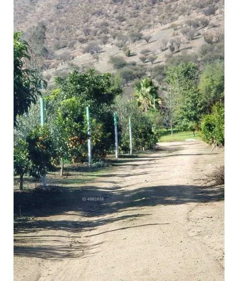 Curacavi, Venta Propiedad El Pangal 6500 Lr