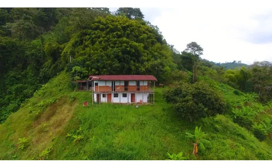 Venta Finca Vereda Tabor San Peregrino | Finca En Manizales
