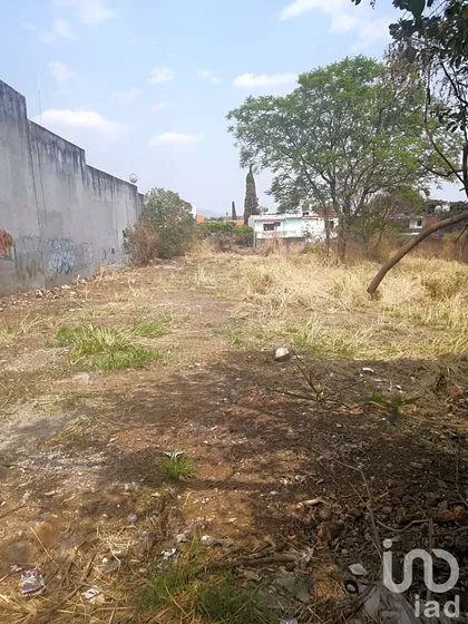 Venta Terreno 0 Ambiente Lomas De La Selva Norte