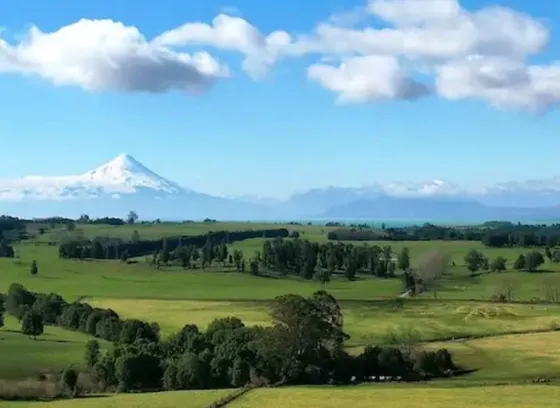Parcela En Fundo Llanquihue A 10 Minutos De Puerto Varas