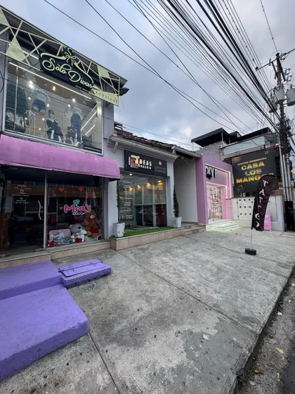 Local En Alquiler Comercial Casa Normal