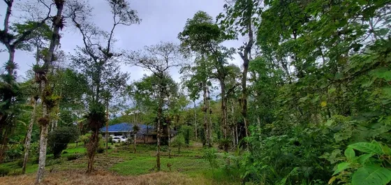 Se Vende Finca De 7 Hectáreas La Cumbre Bitaco Chicoral Valle Colombia