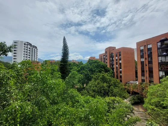 Arriendo Apartamento En Milla De Oro