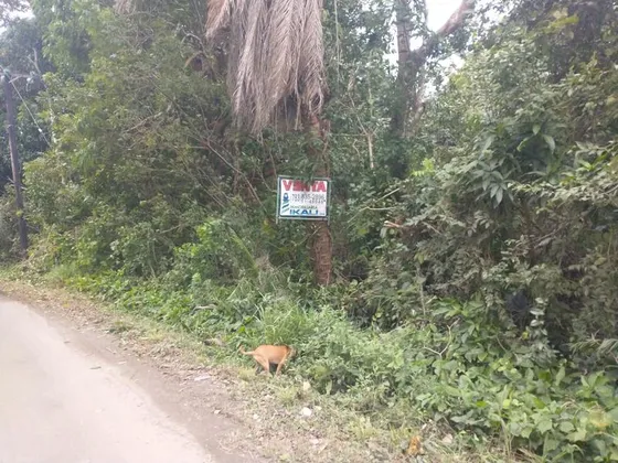 Venta Terreno 5,633 M² Sobre Carretera Juana Moza Tuxpan Veracruz