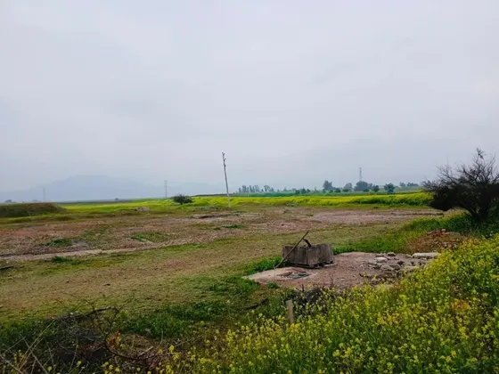 Venta Agrícola 20.000 M2 - Lampa