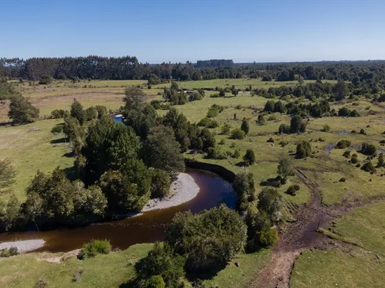 Parque Rio Tambor Entre Puerto Montt Y Pargua