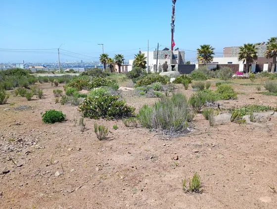 Sitio Urbano 2.182 Mts2 La Puntilla La Herradura Coquimbo