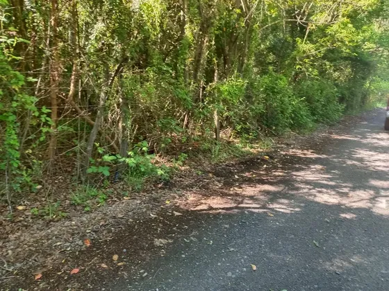 Sitio En Venta, Quetrofeufu, Pucón