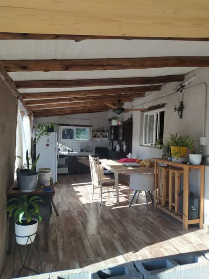 Chacra De Olivos Antiguos