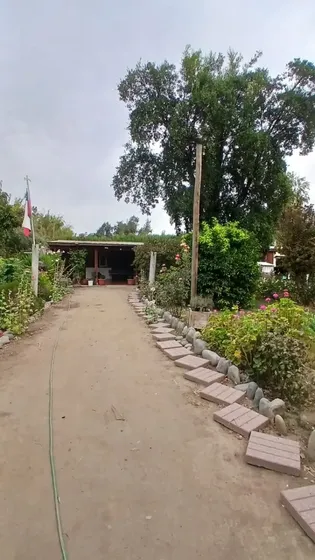 Por Viaje Se Vende Parcela: Casa, Pozo, Arboles Frutales