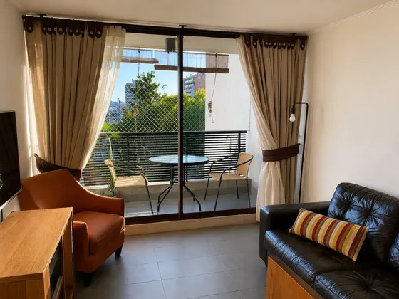 Vende Luminoso Depto 2d 2b Linda Vista Despejada Providencia